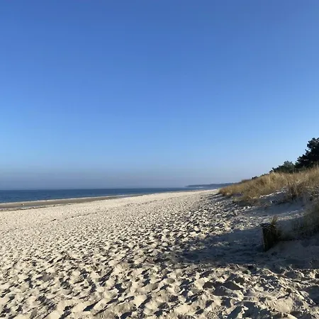 Marin, 17 Цинновиц